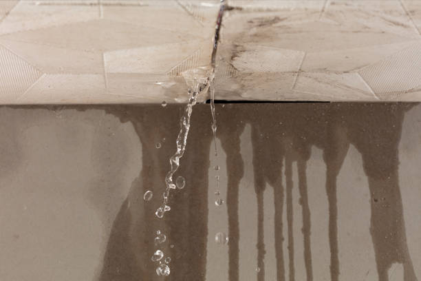 Professional Burst Pipe Cleanup technician working in Oakman, AL